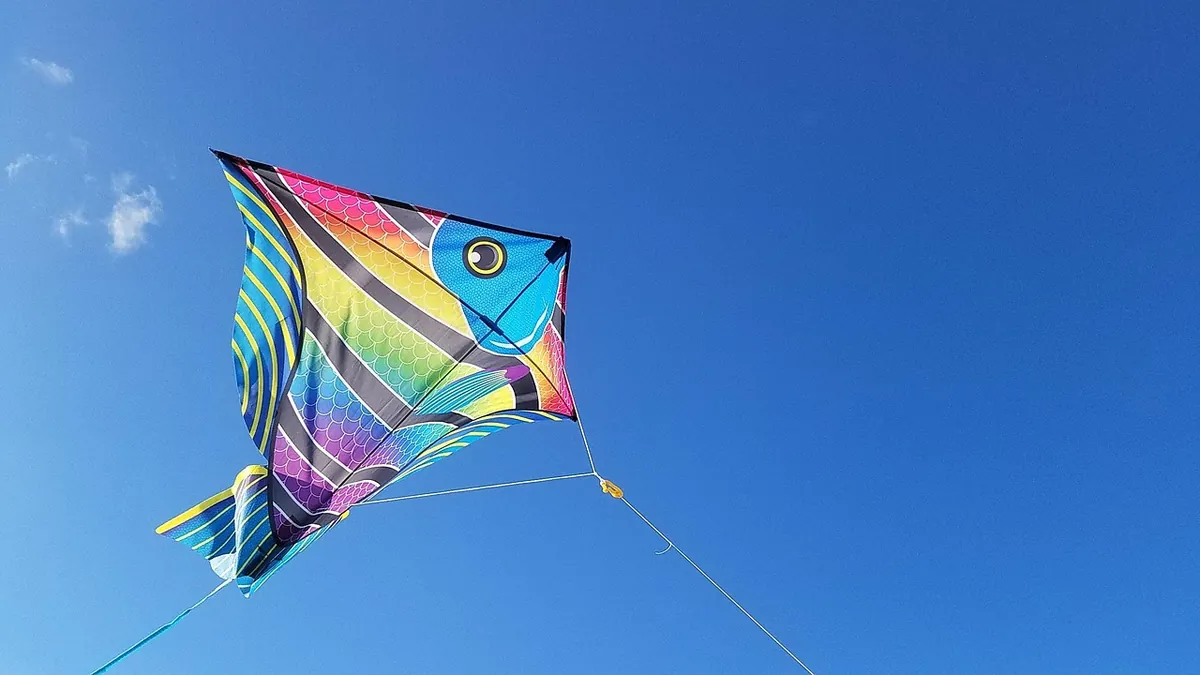 Delta vs Diamond vs Parafoil: Comparing the Three Most Common Kite Types